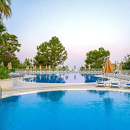 Garcia & Oludeniz