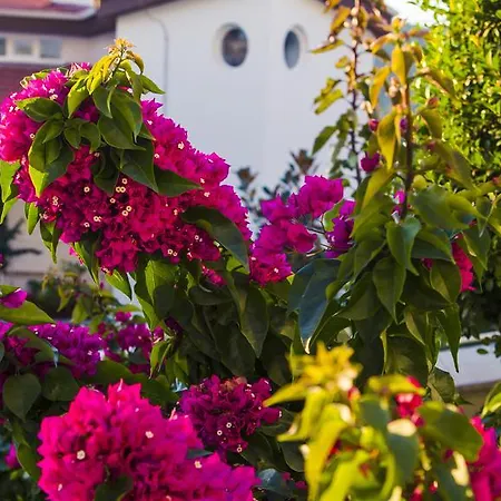 Szálloda Garcia & 5*